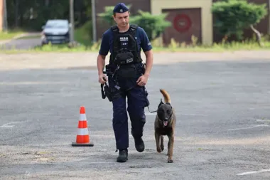 Najlepsi przewodnicy psów służbowych zostali wyłonieni - Aktualności Policja Świętokrzyska