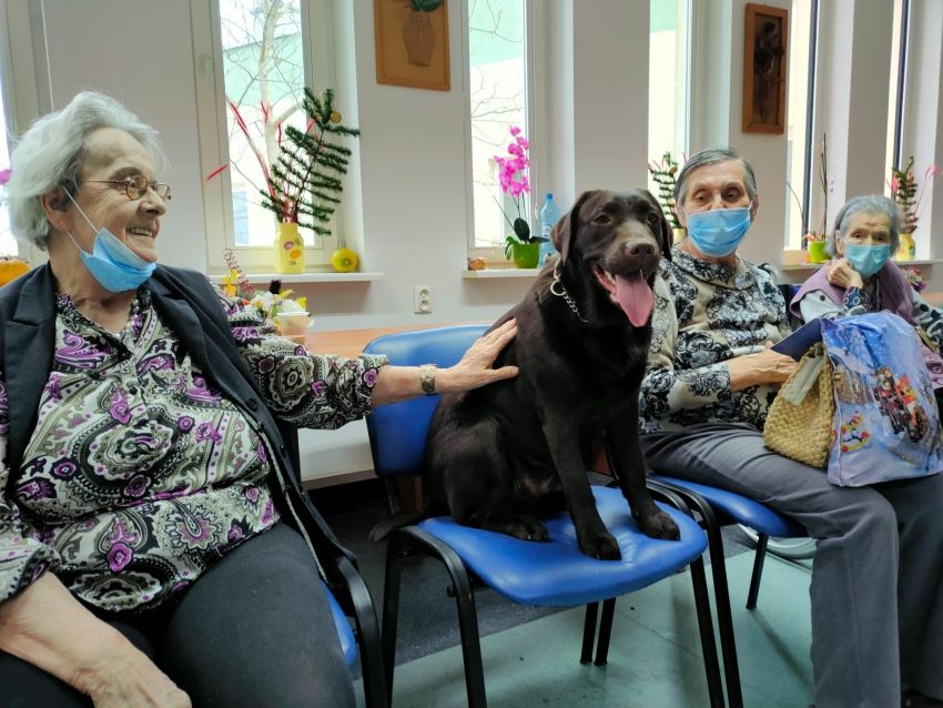 Na zdjęciu seniorzy z labradorem