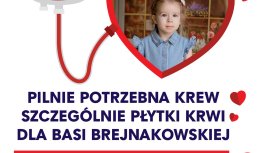 Powiększ obraz:Krew dla Basi - Zdjęcie nr4