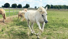 Powiększ obraz:Przepis na sielankowy urlop - Zdjęcie nr5