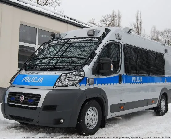 Policja zabezpieczyła podrobione zabawki w Nieporęcie