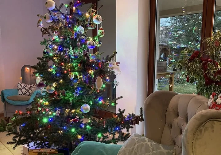 Grafika promocyjna wydarzenia Mikołajkowe spotkanie w Dulcedo — 5 grudnia w butiku przy Jagiellońskiej 8