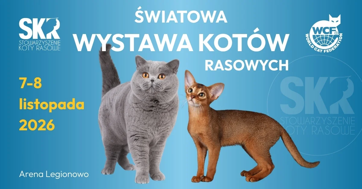 Grafika promocyjna wydarzenia Światowa Wystawa Kotów Rasowych w Legionowie