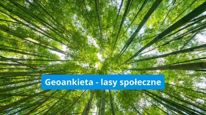 Mieszkańcy Legionowa wskażą lasy ważne dla spacerów i przyrody