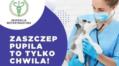 Wścieklizna wciąż groźna. Po pogryzieniu liczą się pierwsze kroki
