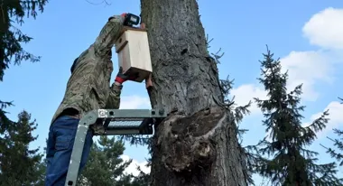 Na Osiedlu Młodych stanęły budki lęgowe – proste domy dla ptaków i okazja do obserwacji
