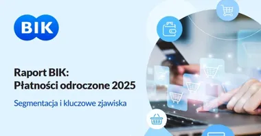 BNPL nie ma jednego użytkownika. BIK pokazuje cztery bardzo różne grupy